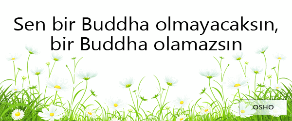 Sen Bir Buddha Olmayacaksın, Bir Buddha Olamazsın