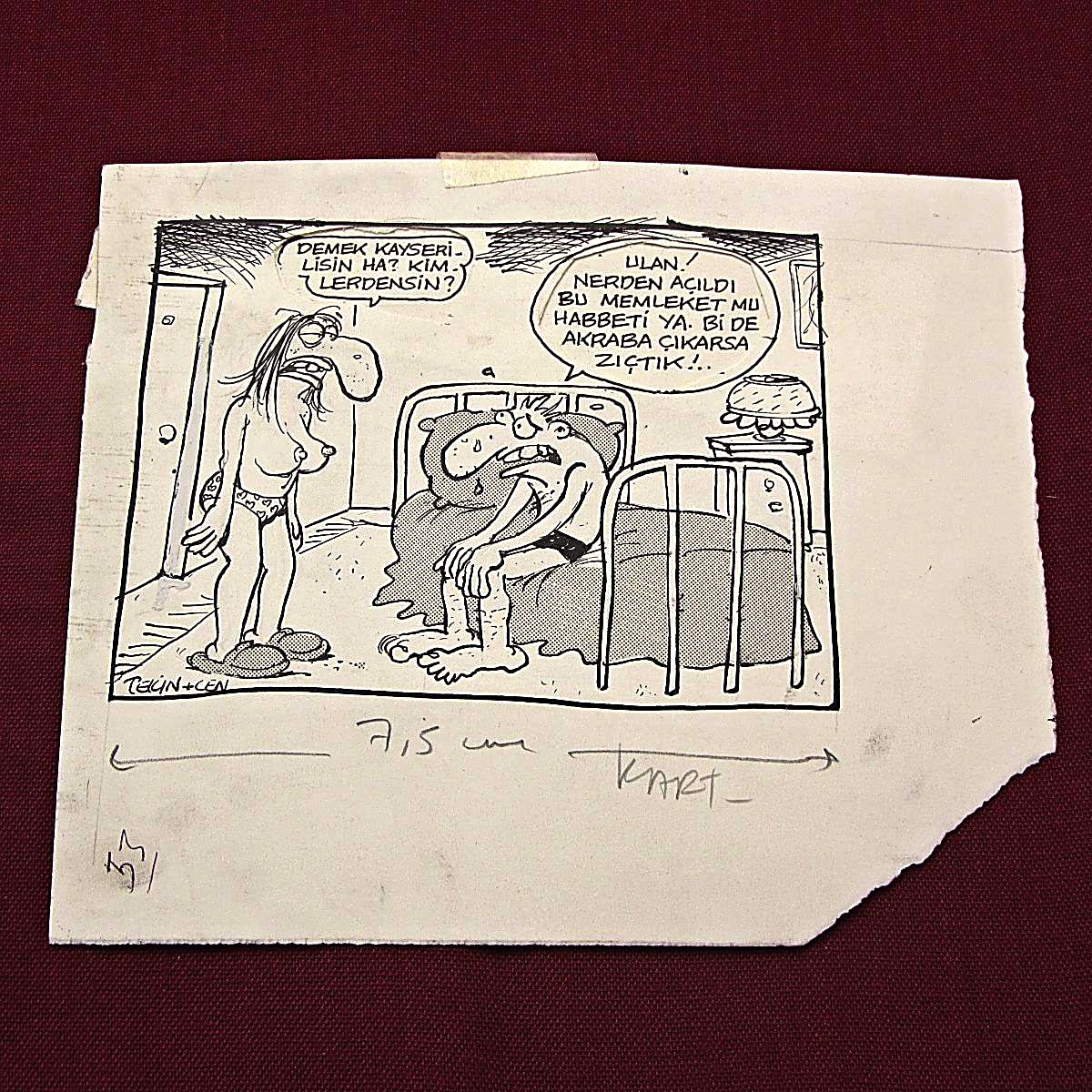 HEMŞERİLİK KONULU ORİJİNAL KARİKATÜR 1 HEMŞERİLİK KONULU ORİJİNAL KARİKATÜR