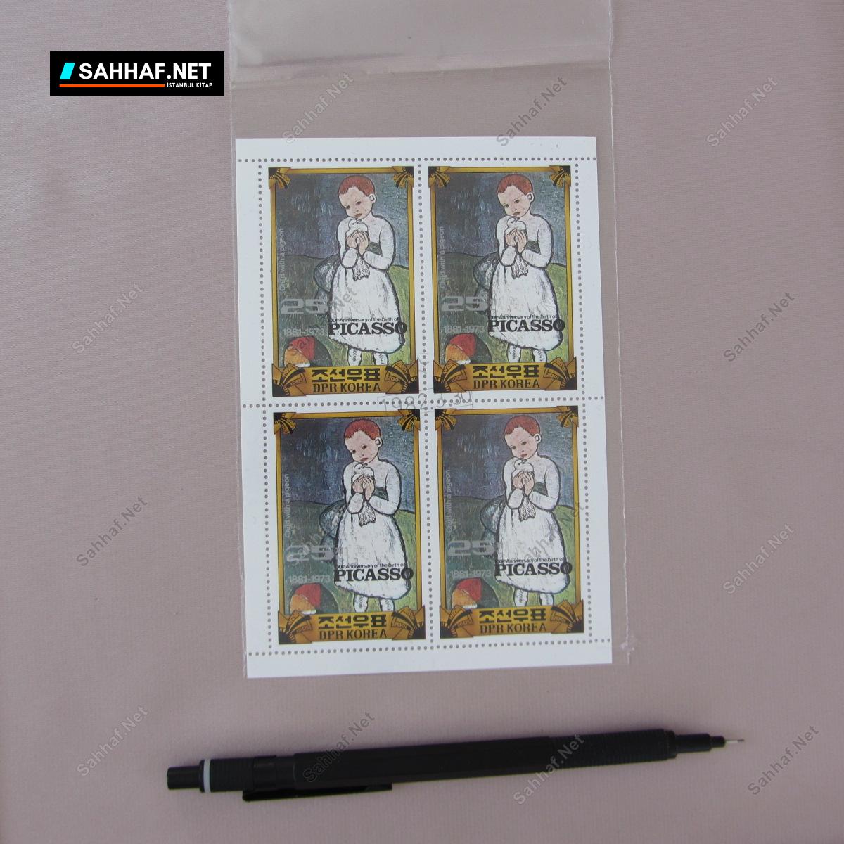 PICASSO BLOK PUL 1 PICASSO BLOK PUL