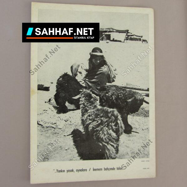 FOTOĞRAFLARLA ANADOLU - Sahhaf.Net