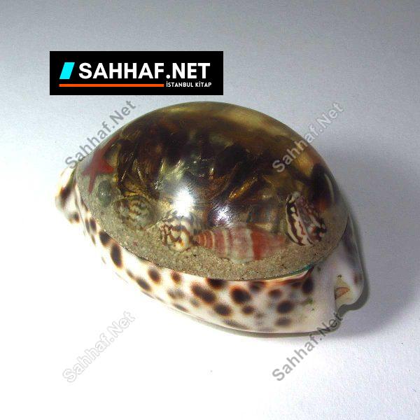 Deniz Kabuğu Kağıt Ağırlığı - Sahhaf.Net