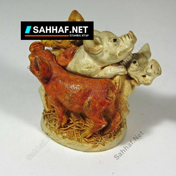 Domuzlu Kutu - Sahhaf.Net