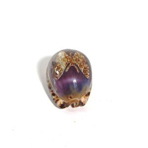 İşlemeli Deniz Kabuğu