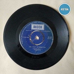 THE CEDARS - For Your Information - Hide If You Want To Hide - 45lik Plak