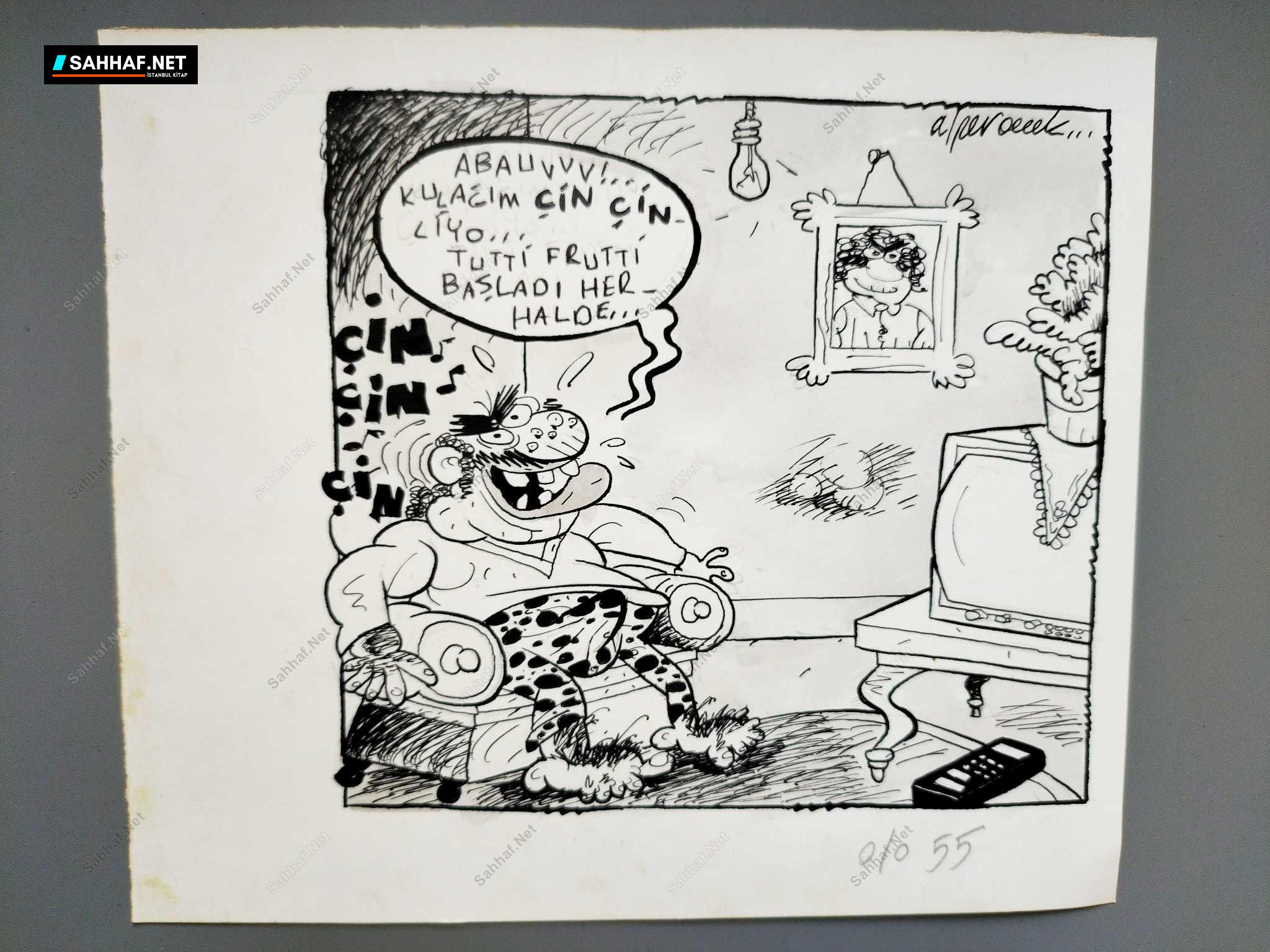 TUTTİ FRUTTİ KONULU ORİJİNAL KARİKATÜR 1 TUTTİ FRUTTİ KONULU ORİJİNAL KARİKATÜR