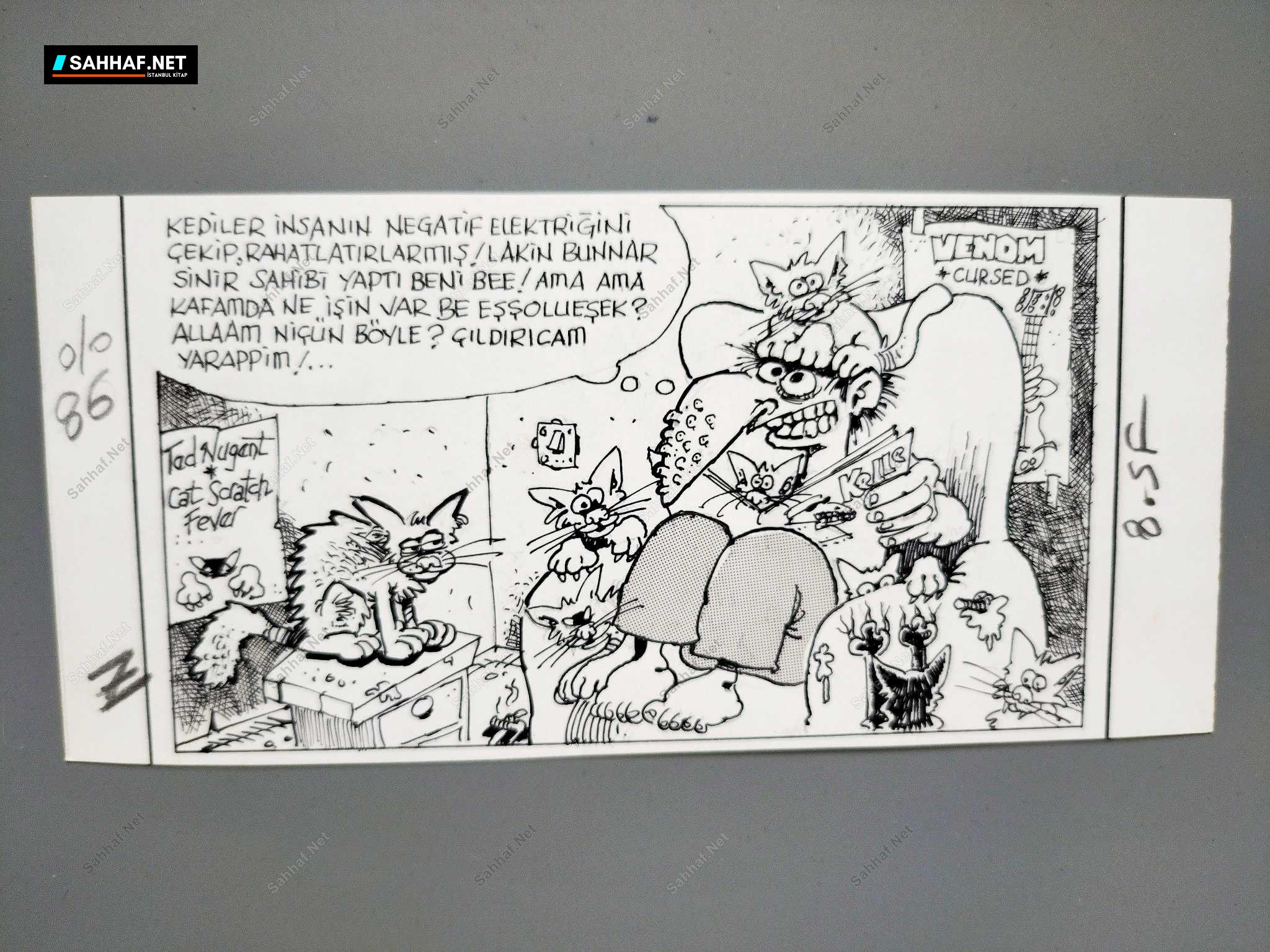 KEDİ KONULU ORİJİNAL KARİKATÜR 1 KEDİ KONULU ORİJİNAL KARİKATÜR